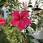 Casa Tropical Arraial D\' Ajuda